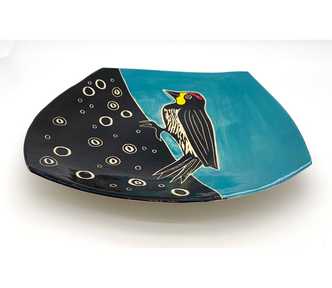 Acorn Woodpecker - Julia Janeway